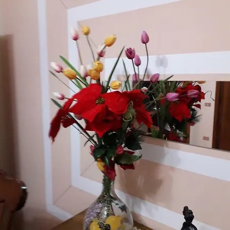 E Il Suo Barocco Apartman Lecce